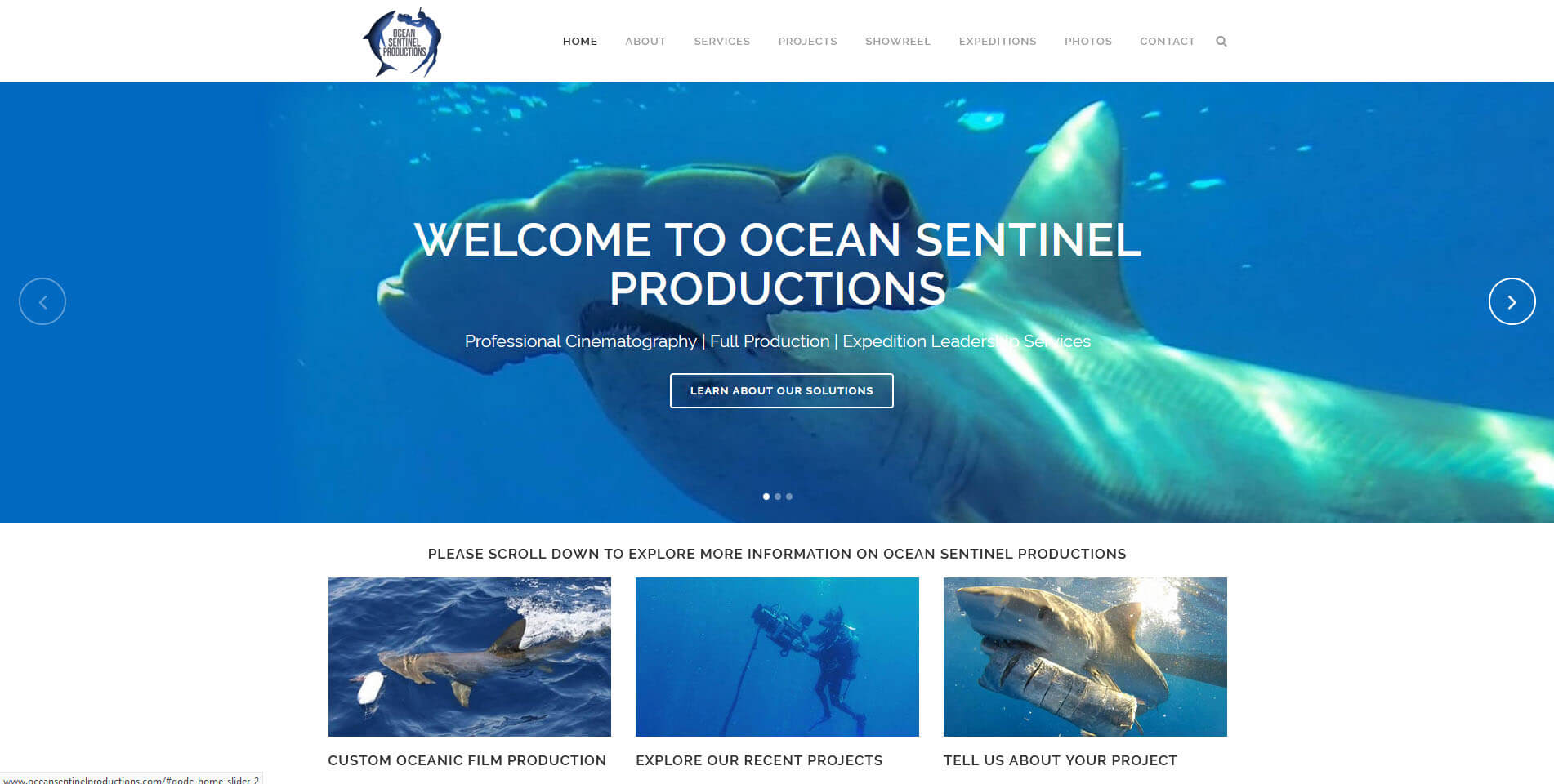 An image of the homepage of Ocean Sentinel, website created by Not Fade Away Marketing