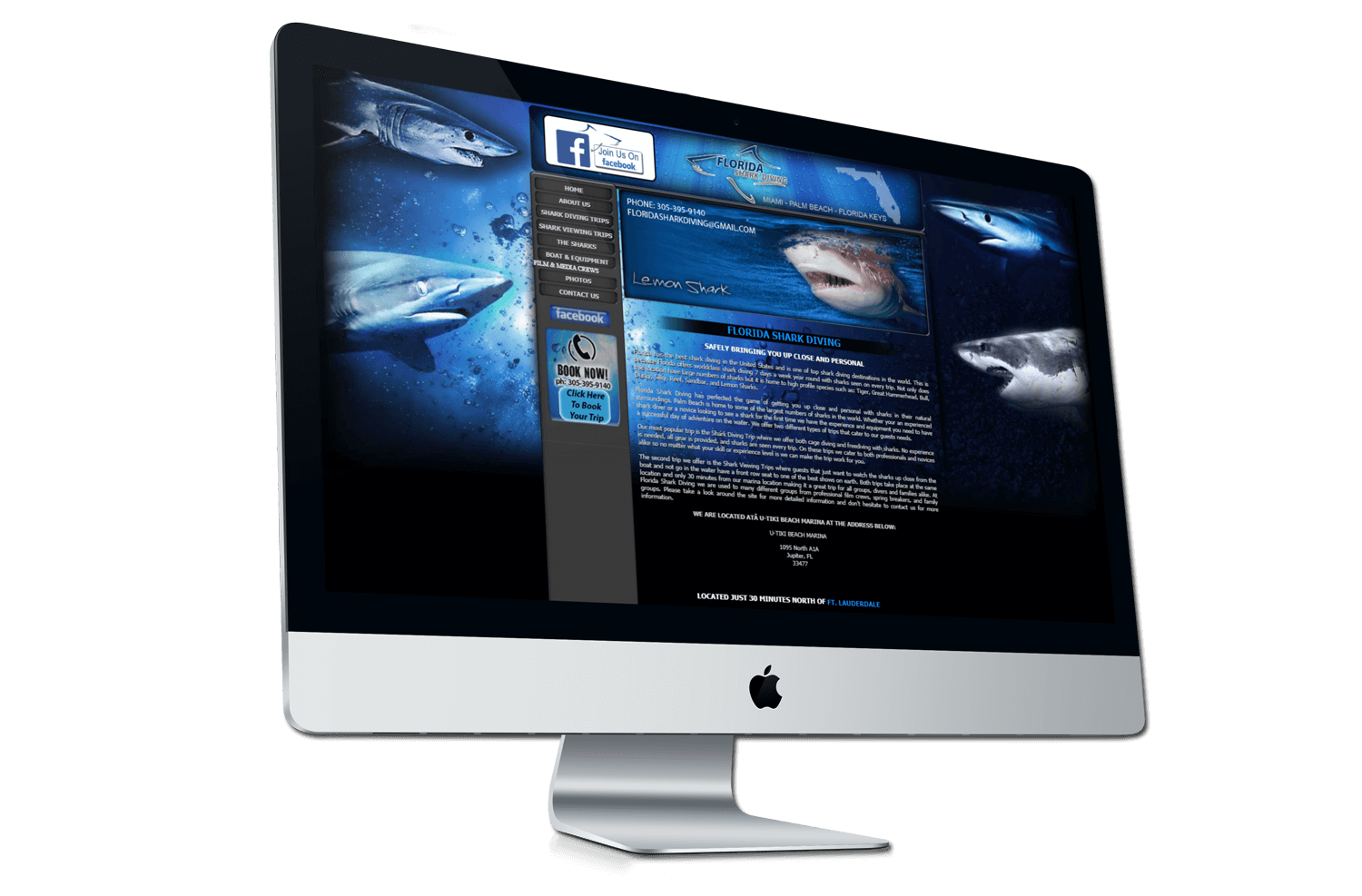 An image of Florida Shark Diving before our Web Design Pompano Beach conversion. 